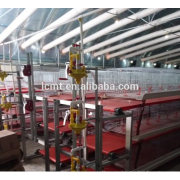 high quality chicken manure removal system for poultry farm